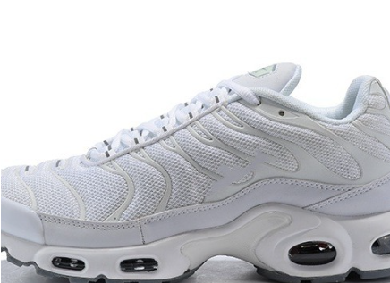 Nike Air Max Plus Casual Couple Shoes (One Pair)